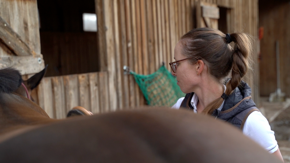 Jungpferde Basis: Tipps und Tricks von Stefanie Kuhn